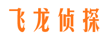 景洪市侦探公司